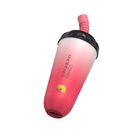Strawberry Mango Disposable Vape Stick 1.0Ω Mesh Coil 650mAh Battery