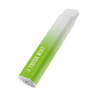 Fresh Mint 5% Salt Nicotine Disposable Vape Pen 850mAh