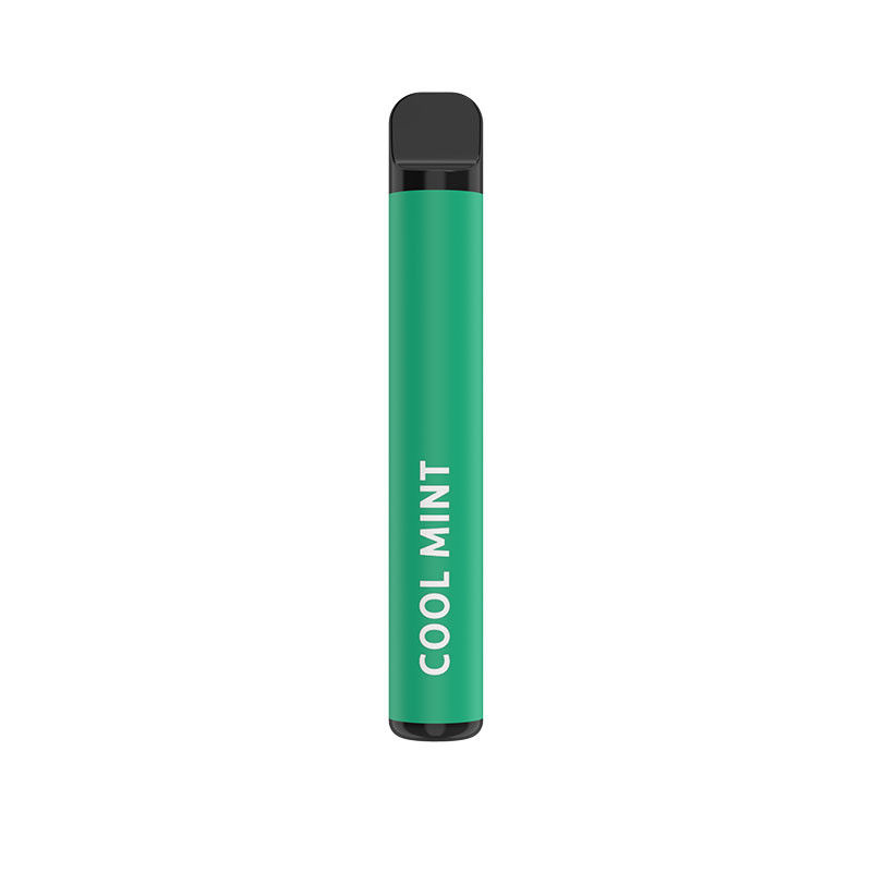Cool Mint Disposable Vape Pen 400mAh Battery E Liquid 500 Puffs
