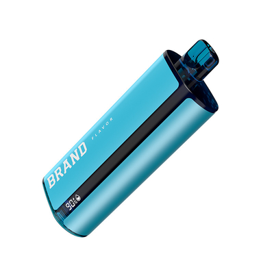 OEM Disposable rechargeable vape pen e-cig